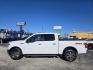 2020 White /Gray Ford F-150 XLT SuperCrew 6.5-ft. Bed 4WD (1FTEW1E42LK) with an 3.5L V6 TURBO engine, 6A transmission, located at 1842 Wirt Road, Houston, TX, 77055, (713) 973-3903, 29.805330, -95.484787 - Photo#1